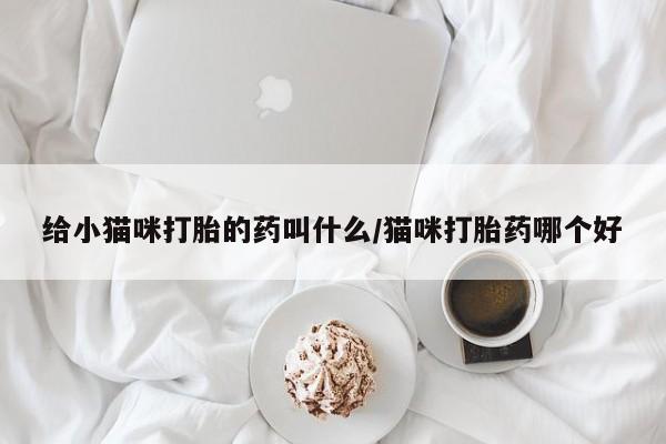 米非米索微信给小猫咪打胎的药叫什么/猫咪打胎药哪个好