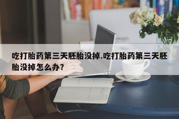 米非米索微信吃打胎药第三天胚胎没掉.吃打胎药第三天胚胎没掉怎么办？