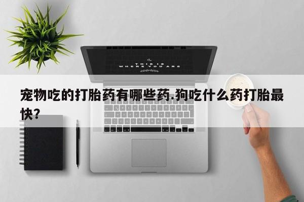 米非米索微信宠物吃的打胎药有哪些药.狗吃什么药打胎最快？