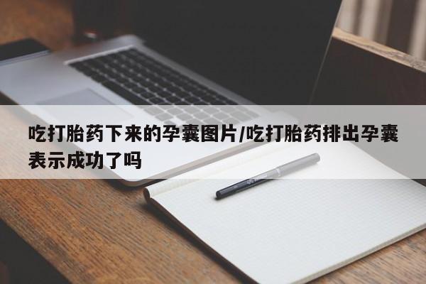 米非米索微信吃打胎药下来的孕囊图片/吃打胎药排出孕囊表示成功了吗